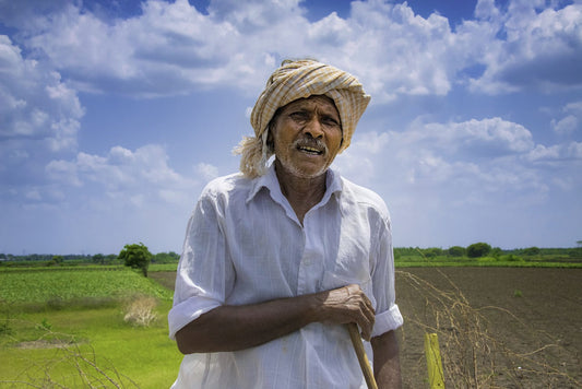 The Health Benefits of Millets: A Superfood for Modern Diets